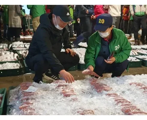 정말 놓치기 아까운 제주도펀다이빙 후기