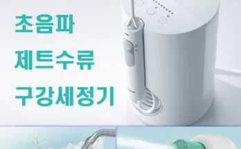 합리적인 당신을 위한 파나소닉 제트워셔 무선 구강세정기 11세트  적극추천